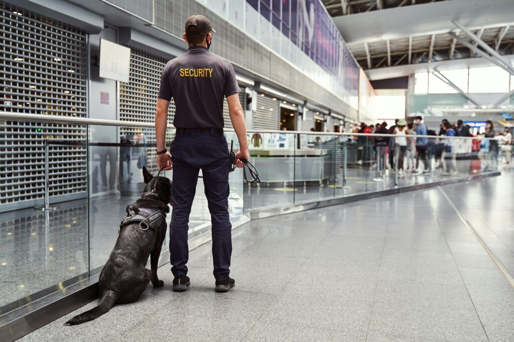 Security worker with detection dog patrolling airport terminal